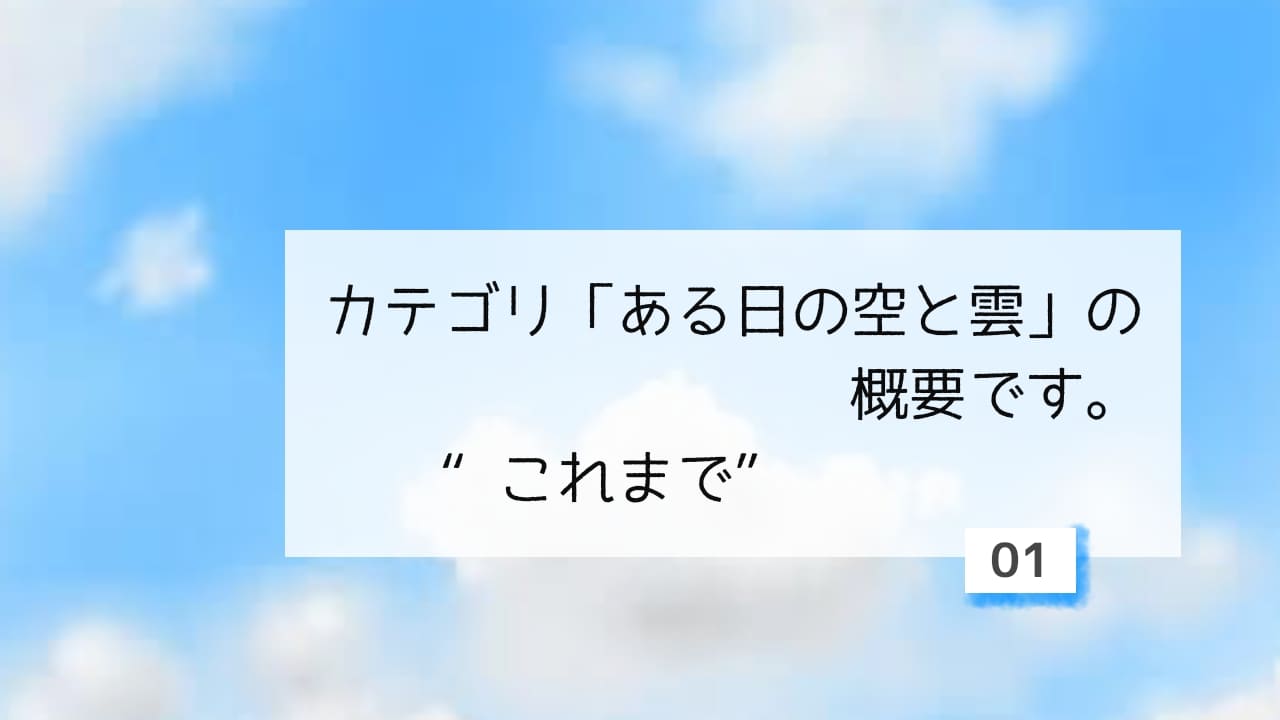 カテゴリー概要